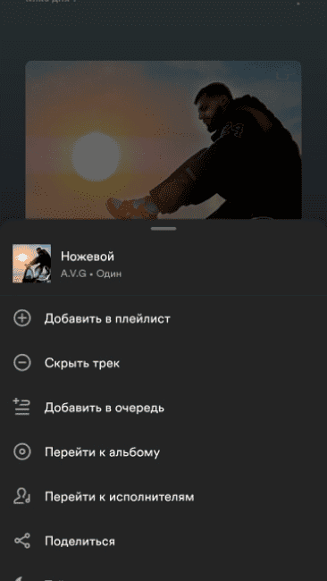 Spotify Premium - 4